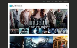 WordPress themes for Movies