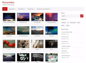 free wordpress themes for video
